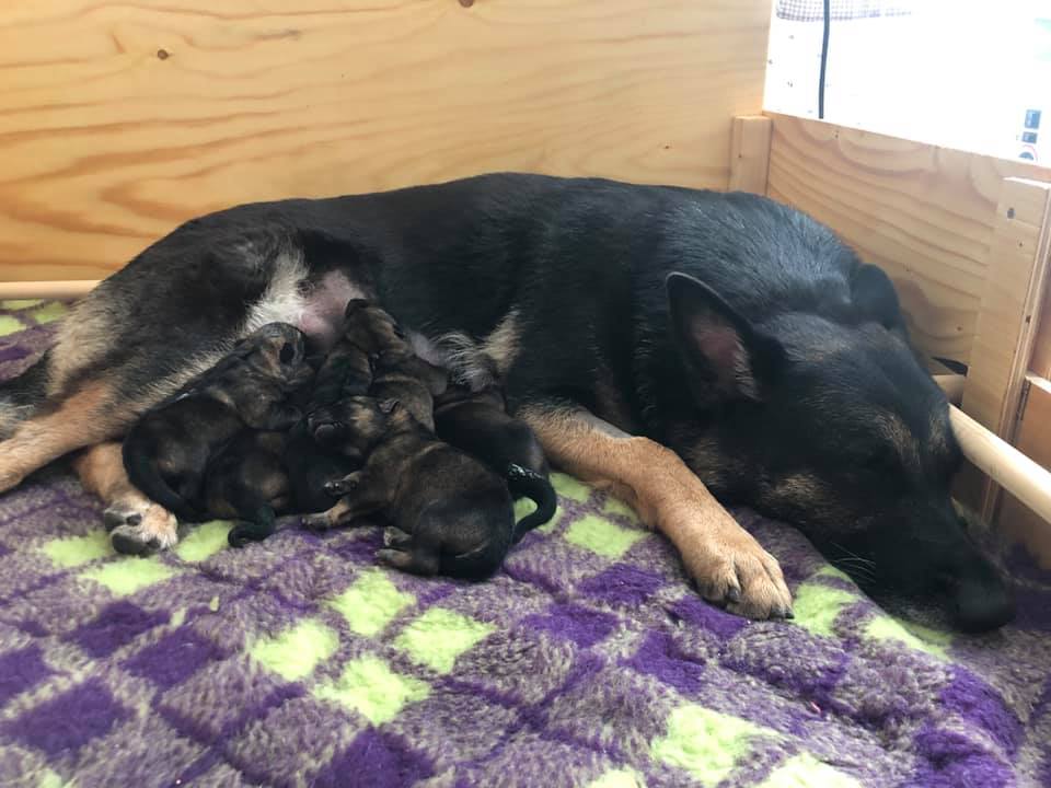 67798087_10215032902478371_8645098859892047872_n