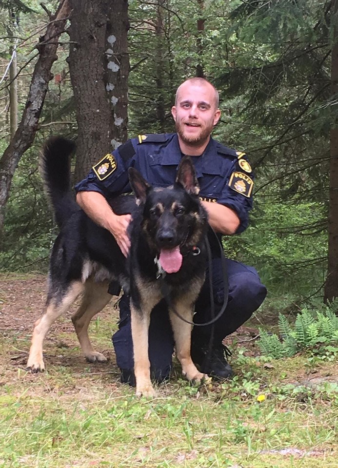 68581144_10156581259003785_3972566598127976448_n